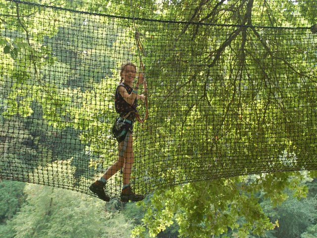 Accrobranche and rock climbing