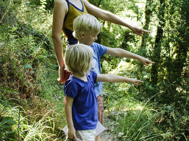 Wandelingen en trektochten